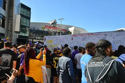 DSC_7155 (Large).JPG